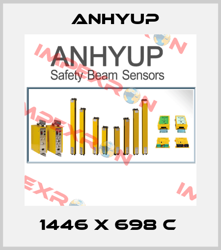 1446 x 698 C  Anhyup