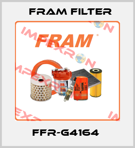 FFR-G4164  FRAM filter