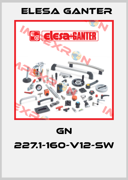 GN 227.1-160-V12-SW  Elesa Ganter