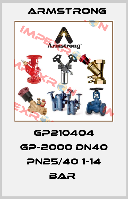 GP210404 GP-2000 DN40 PN25/40 1-14 BAR  Armstrong