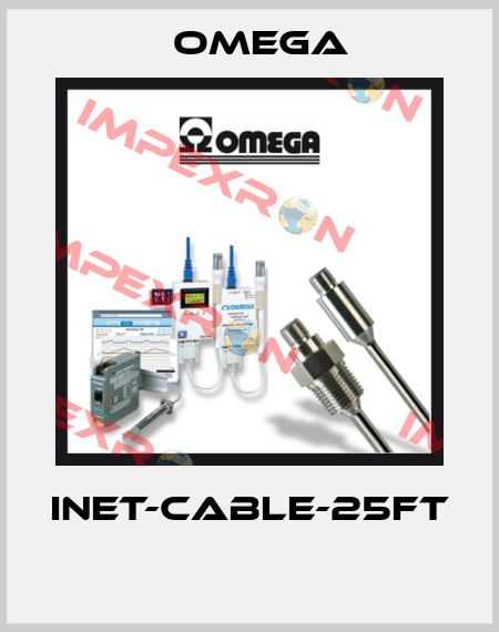 INET-CABLE-25FT  Omega