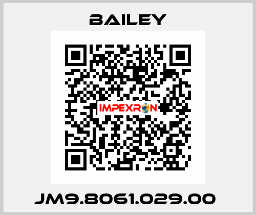 JM9.8061.029.00  Bailey
