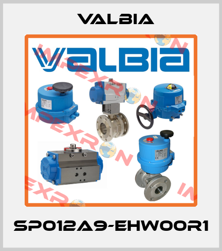 SP012A9-EHW00R1 Valbia