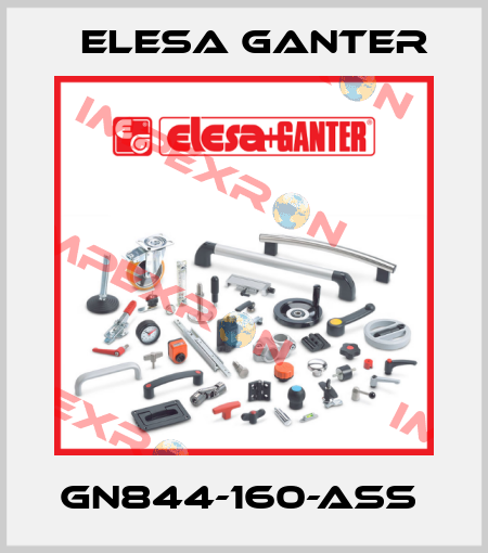 GN844-160-ASS  Elesa Ganter