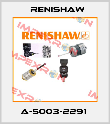 A-5003-2291  Renishaw
