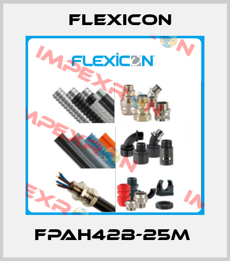 FPAH42B-25M  Flexicon