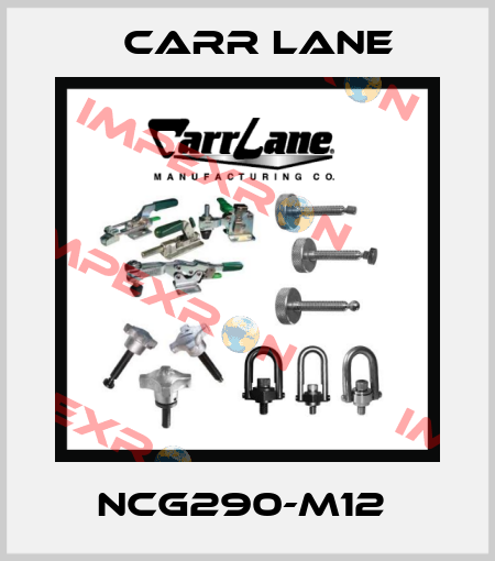 NCG290-M12  Carr Lane
