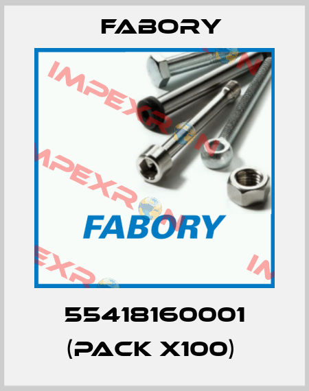 55418160001 (pack x100)  Fabory