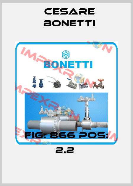 Fig: 866 Pos: 2.2  Cesare Bonetti