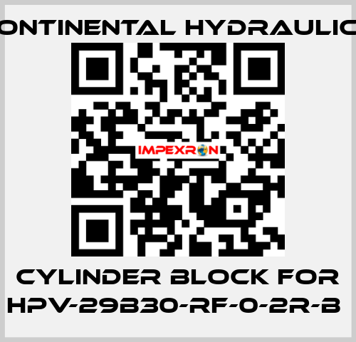 cylinder block for HPV-29B30-RF-0-2R-B  Continental Hydraulics