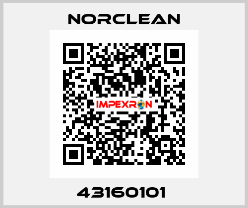 43160101  Norclean