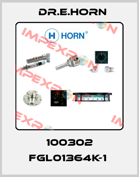 100302 FGL01364K-1  Dr.E.Horn