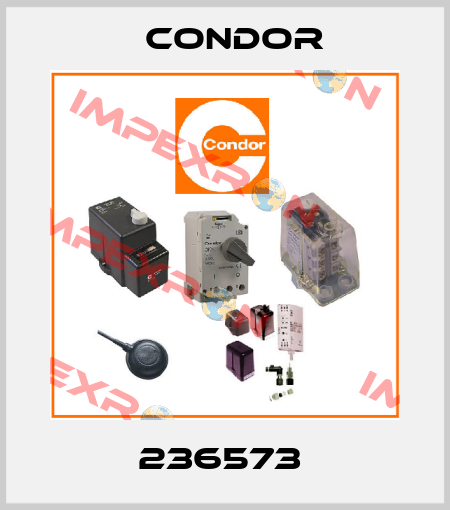 236573  Condor