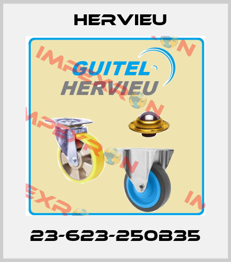 23-623-250B35 Hervieu