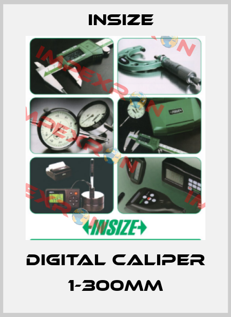 digital caliper 1-300mm INSIZE
