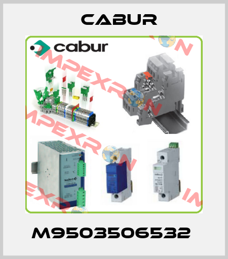 M9503506532  Cabur