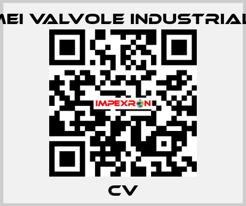 CV MEI VALVOLE INDUSTRIALI