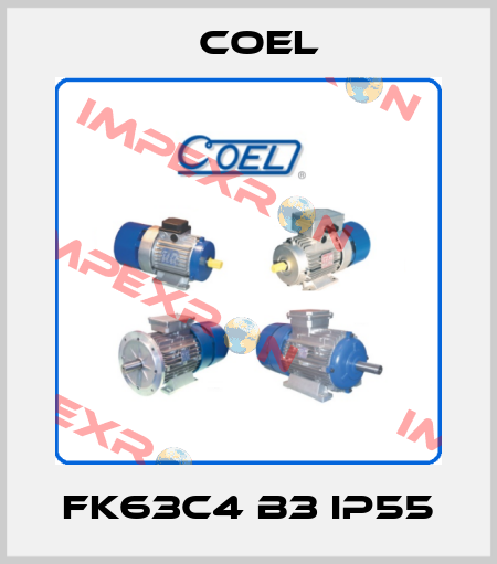 FK63C4 B3 IP55 Coel