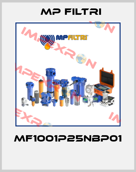 MF1001P25NBP01  MP Filtri