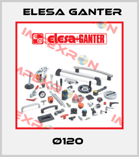 Ø120  Elesa Ganter