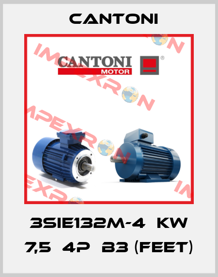 3SIE132M-4  KW 7,5  4P  B3 (Feet) Cantoni