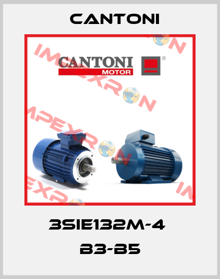 3SIE132M-4  B3-B5 Cantoni