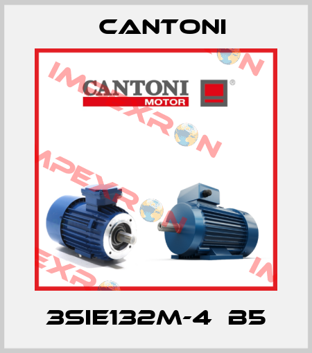 3SIE132M-4  B5 Cantoni