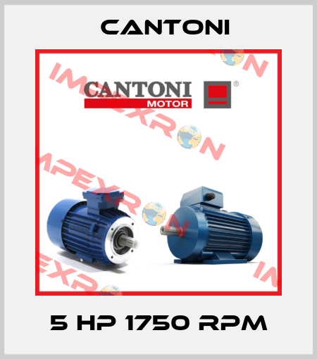 5 HP 1750 RPM Cantoni