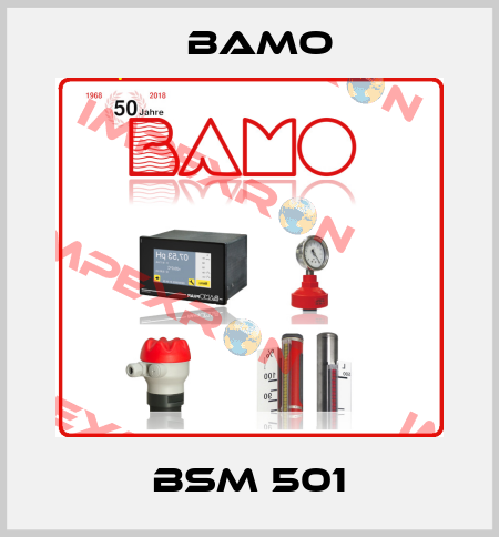 BSM 501 Bamo