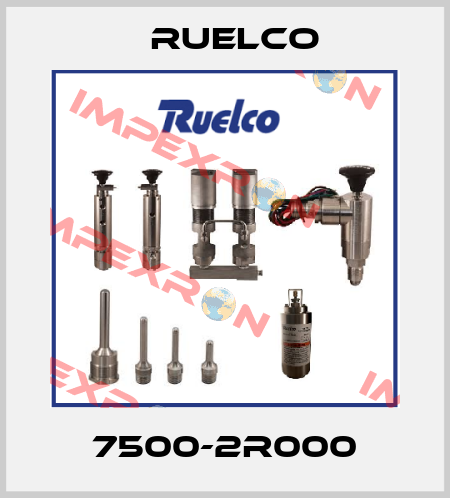 7500-2R000 Ruelco