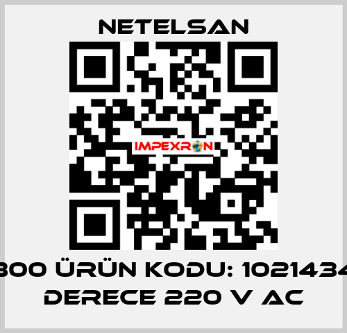 S 20300 ÜRÜN KODU: 1021434 360 DERECE 220 V AC NETELSAN