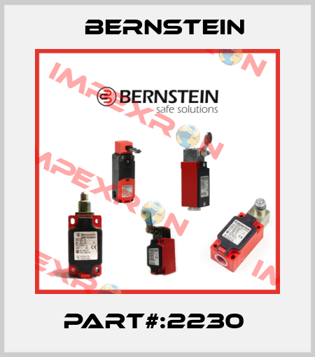 PART#:2230  Bernstein