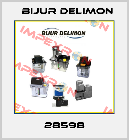 28598 Bijur Delimon