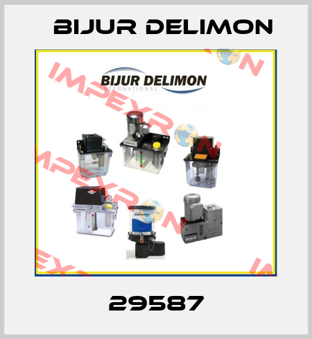 29587 Bijur Delimon