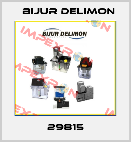 29815 Bijur Delimon