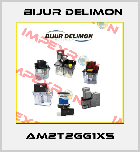 AM2T2GG1XS Bijur Delimon