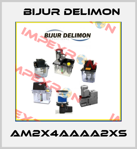 AM2X4AAAA2XS Bijur Delimon