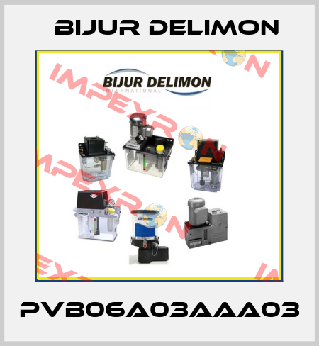 PVB06A03AAA03 Bijur Delimon