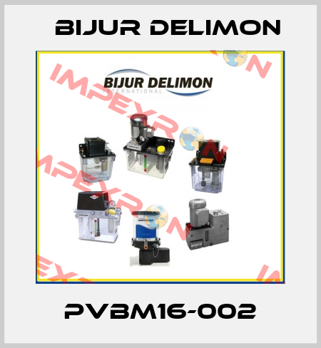 PVBM16-002 Bijur Delimon