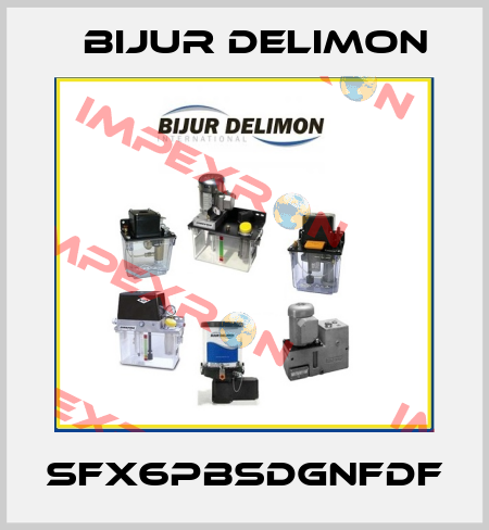 SFX6PBSDGNFDF Bijur Delimon
