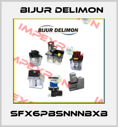 SFX6PBSNNNBXB Bijur Delimon