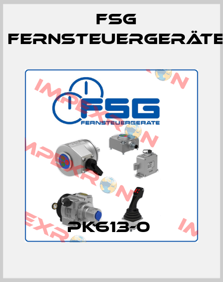 PK613-0  FSG Fernsteuergeräte