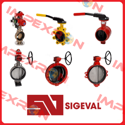 202573W012503 Sigeval