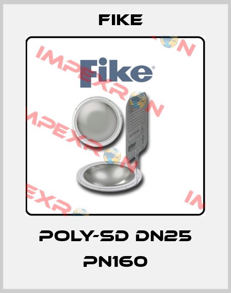 POLY-SD DN25 PN160 FIKE