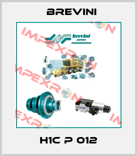 H1C P 012 Brevini