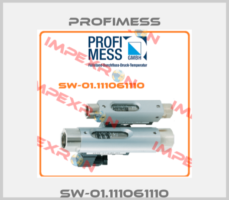 SW-01.111061110 Profimess
