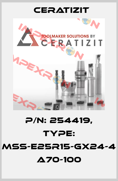 P/N: 254419, Type: MSS-E25R15-GX24-4 A70-100 Ceratizit