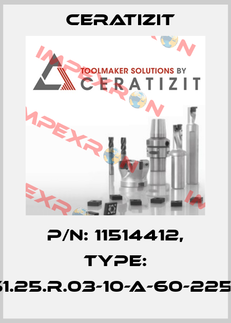 P/N: 11514412, Type: C251.25.R.03-10-A-60-225-RS Ceratizit