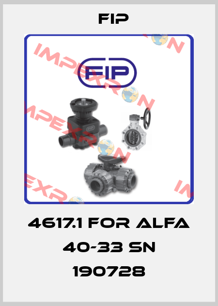 4617.1 for Alfa 40-33 SN 190728 Fip