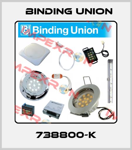 738800-K Binding Union